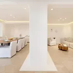 Villa Mykonos Seaview Alea *